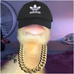 Jiggle em' Whoopers