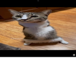 Not a potato