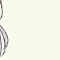 ♡︎