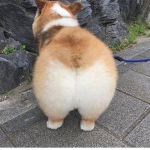 Sn0wBall
