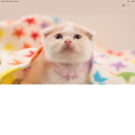 Is Lusi