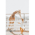 ~Giraffe_Army~