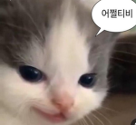 잼민당