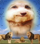 loonys group