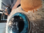 Waddle's Little Spot