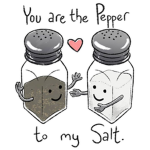 Salt and Pepper Shakers