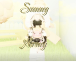Sunnshine army
