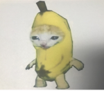 People who love banana cat