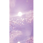 Sky+jace1129