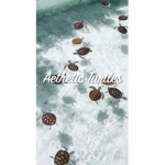 ~Aesthetic Turtles Forever~