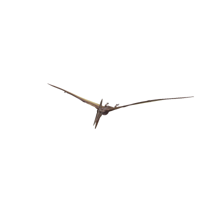 Pteranodon Moving (NPC)