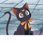 the fluffy cats xd