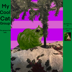 Wil’s cat group