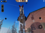 Pony and horse lovers