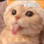 V4lS'S