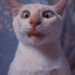 Marketplace Avatar Creator