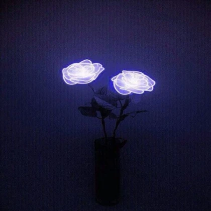 Flowers Neon Sign