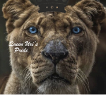 King Akida's Pride