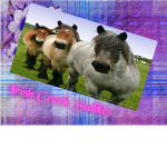 Irish creek stables community