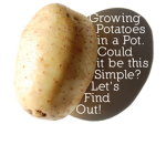 Scrib's Potatoes