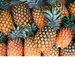 Pineapple Gus Shrine