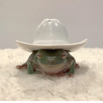 froggy pop !