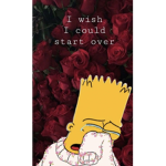I wish I start over
