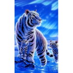 Amazing Animal Family
