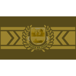 Golden State of Firestone Flag Pin