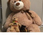 Bearbear army