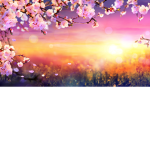 A Nice Day