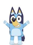 Bluey fan club!!
