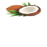 Coconut hotel (bloxburg)
