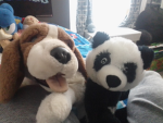 dog fan group!!!!!!!!!!