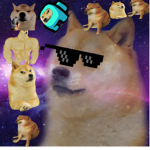 ...The dogeiverse…