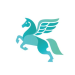 • Pegasus Academy •