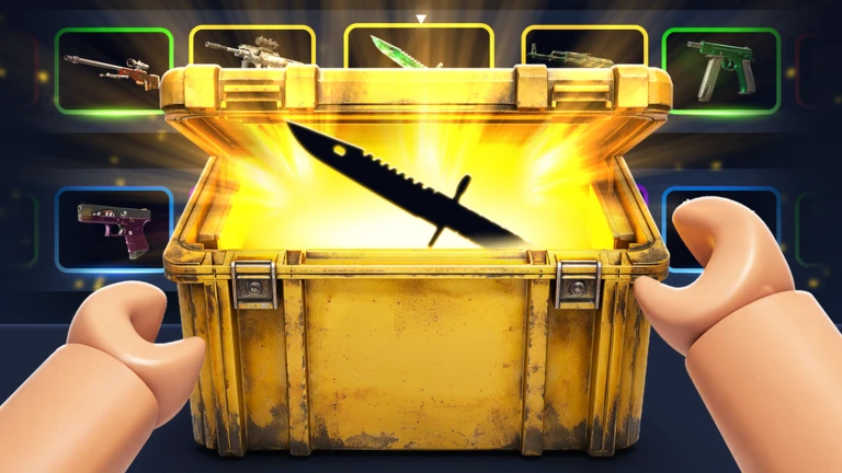 NEW LEVEL CASES