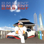 B.M.S ENT