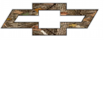 Chevy Lovers 2nd Group
