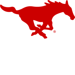 GJ. Ford Stadium, Dallas, TX