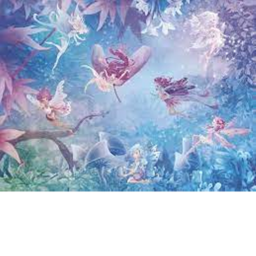 kathryn's fairyland
