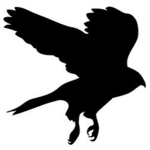 [OS] Black Hawk