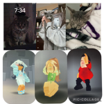 Whisker team