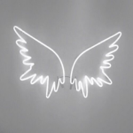 Ancient Wings ワンピース