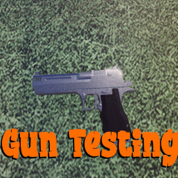 Gun testing brookhaven