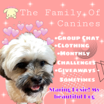 The Family Of Canines