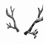 Da Official Antler Squad