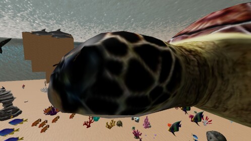 vida aquatica 