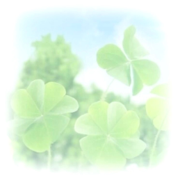 . ☘︎  ݁˖
