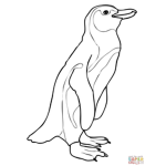 Jack's Penguins